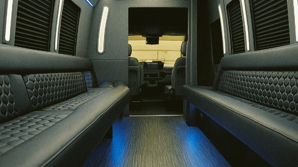 bellevue 20 passenger party bus rental