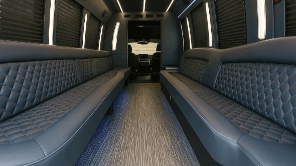 bellevue 30 passenger party bus rental