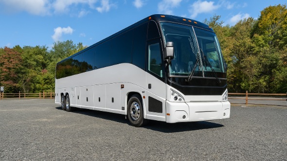 bellevue bachelor and bachelorette party bus rentals