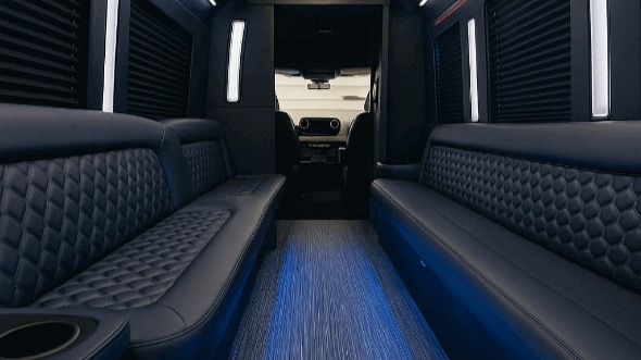 bellevue party bus rentals