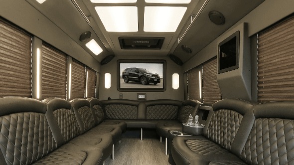 tacoma 20 passenger party bus